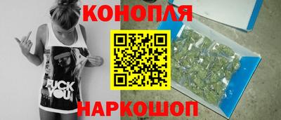 соль ск Будённовск