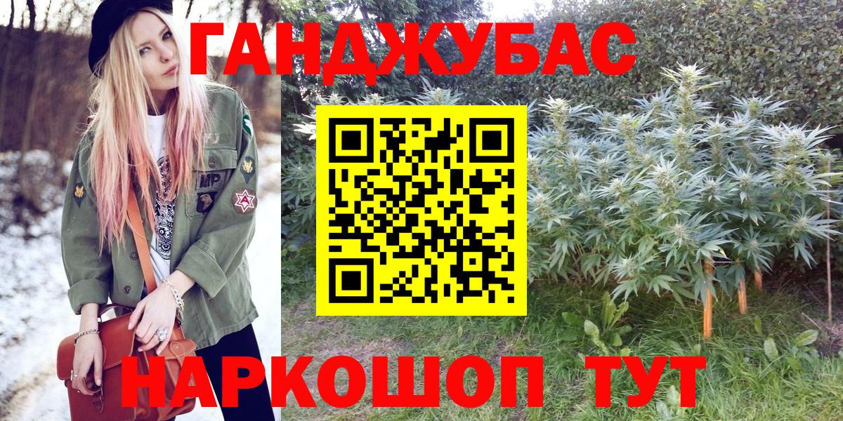 Канабис план  Бошки марихуана AK-47  Вход с VPN  Бошки марихуана Bruce Banner  Бошки Шишки тримм  Новозыбков 